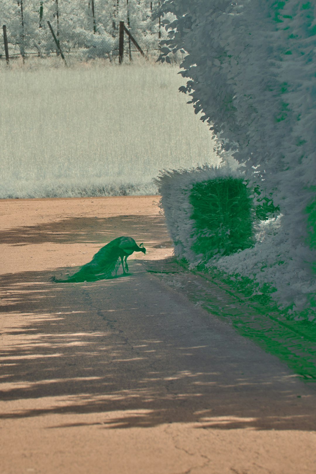 Casino Oyunlarında Animasyon ve Grafik Kalitesi